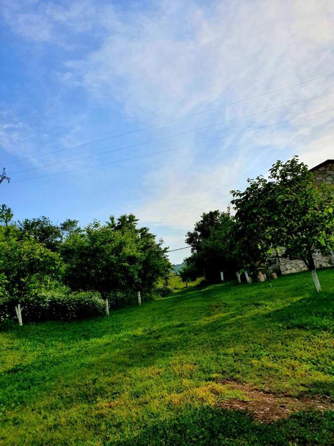Guest House Ijevan'S Garden Zewnętrze zdjęcie