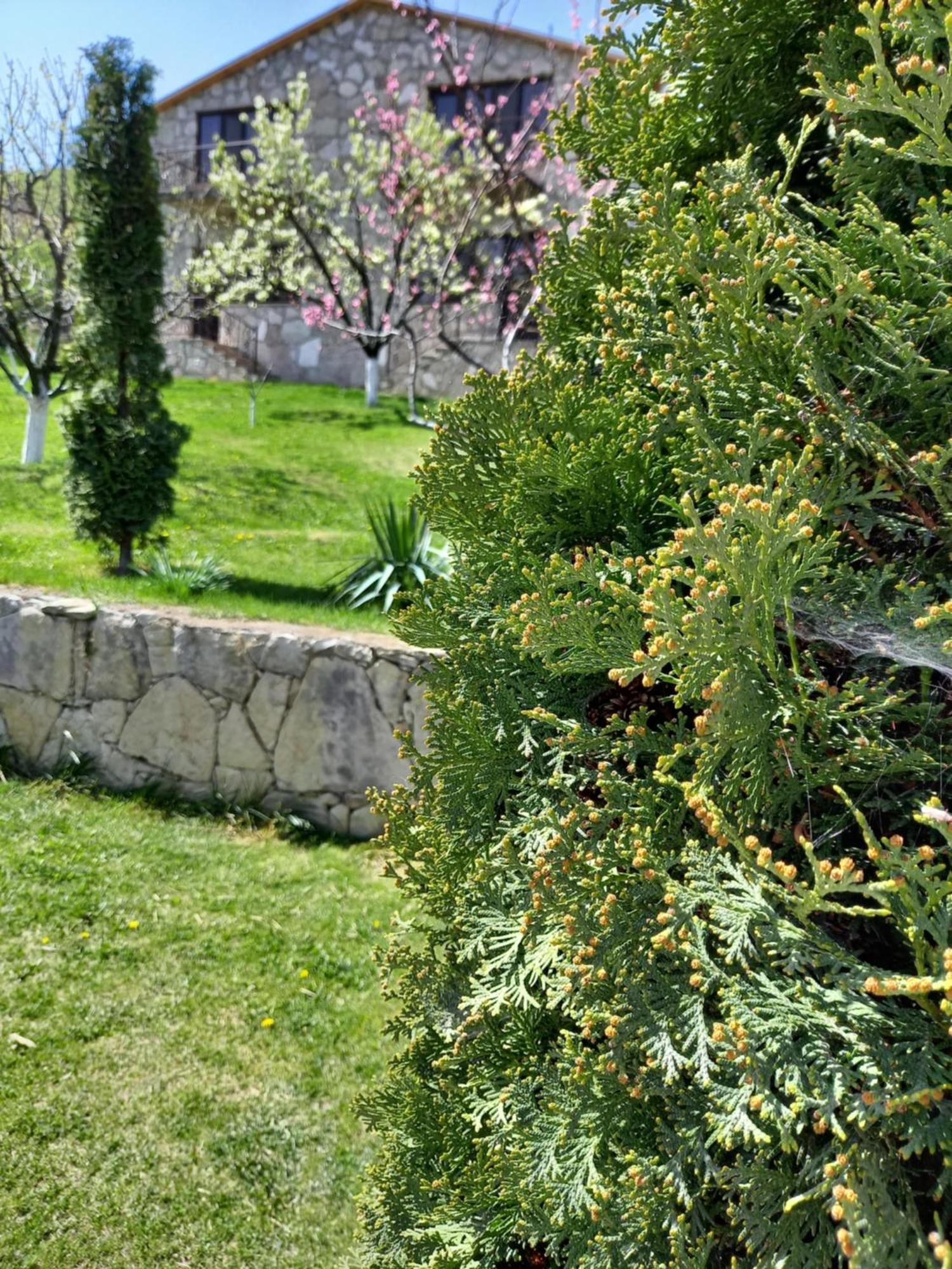 Guest House Ijevan'S Garden Zewnętrze zdjęcie