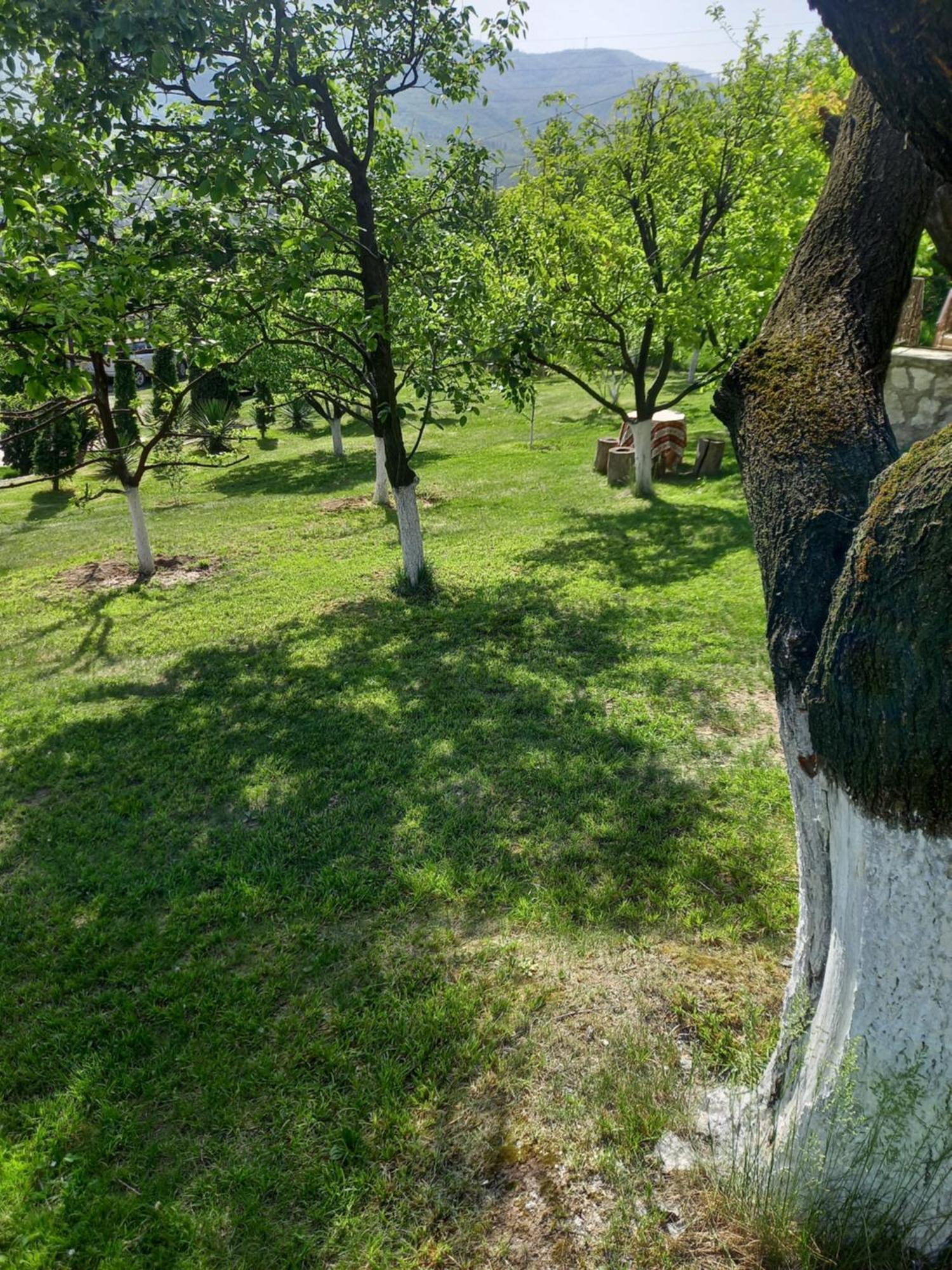 Guest House Ijevan'S Garden Zewnętrze zdjęcie