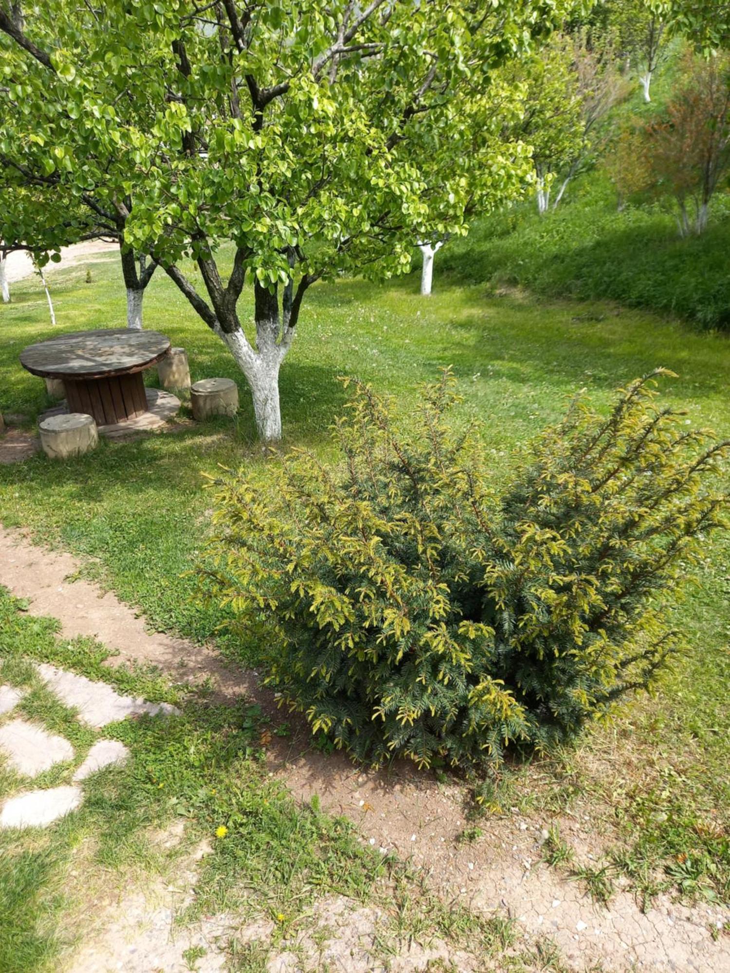 Guest House Ijevan'S Garden Zewnętrze zdjęcie