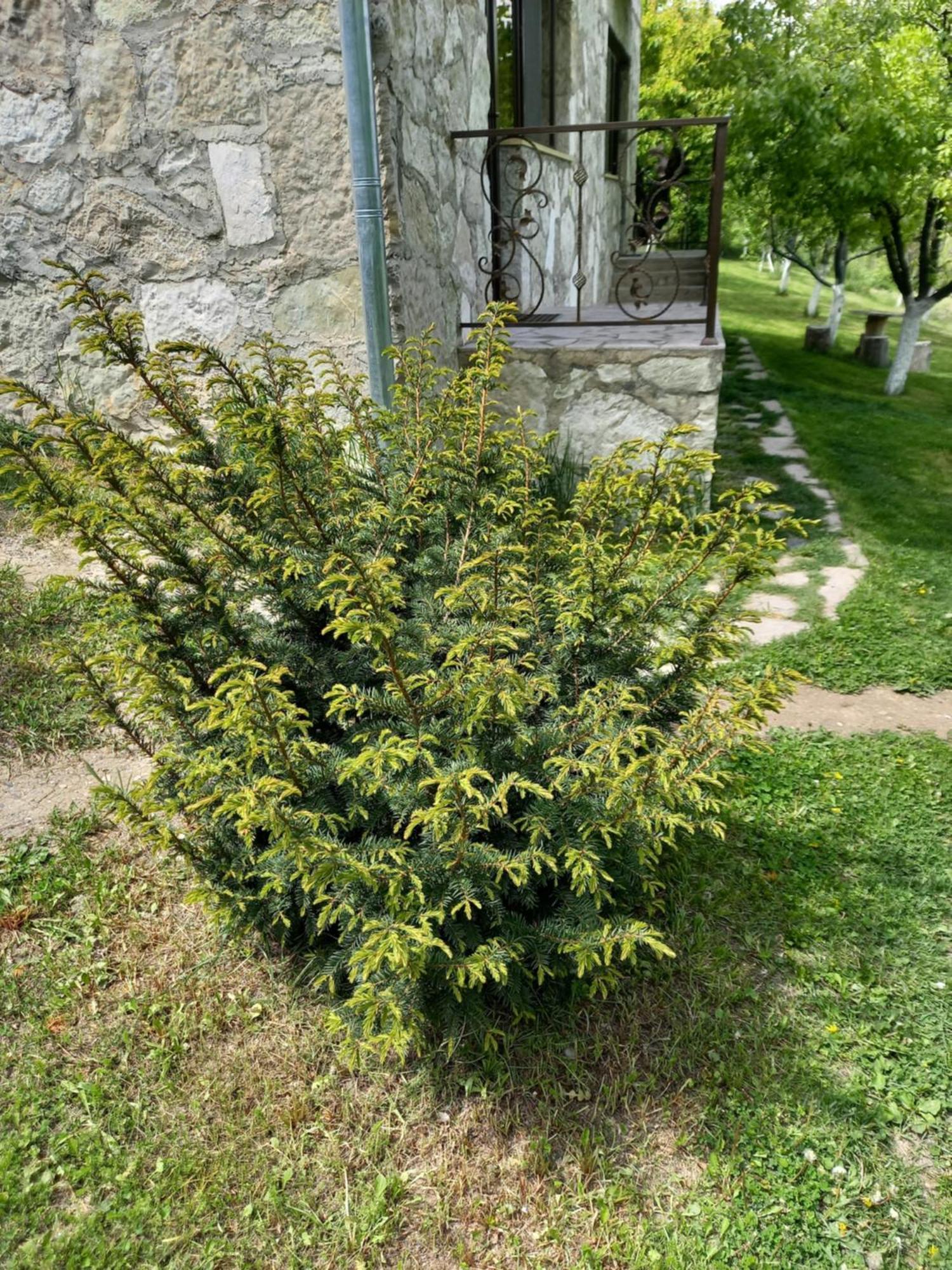 Guest House Ijevan'S Garden Zewnętrze zdjęcie