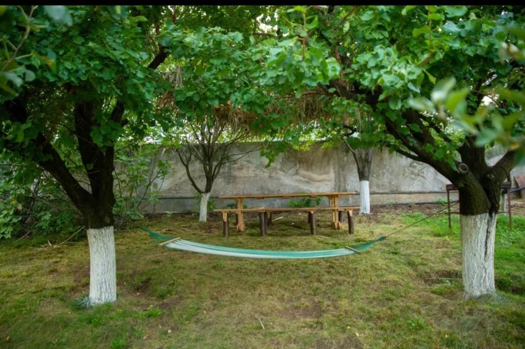 Guest House Ijevan'S Garden Zewnętrze zdjęcie